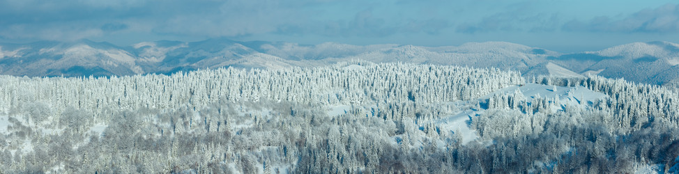 Similar image 13281984