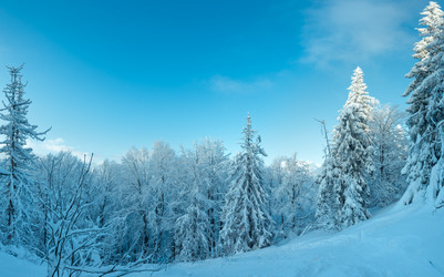 Similar image 13281995