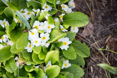 Similar image 13279929