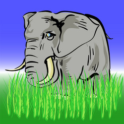 Similar image 13283819