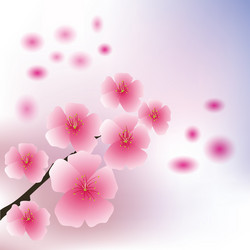 Similar image 13283990