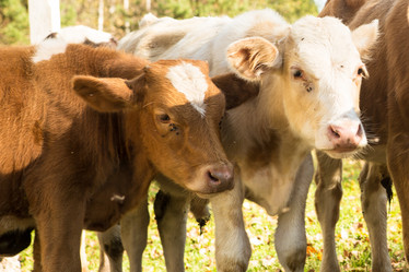 Similar image 13280110