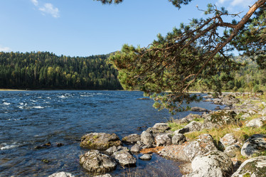 Similar image 13280132