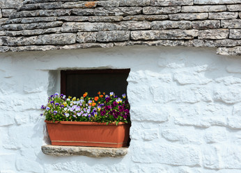 Similar image 13282043