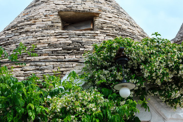 Similar image 13282088