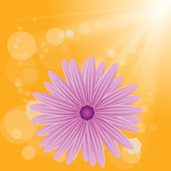 Similar image 13284066