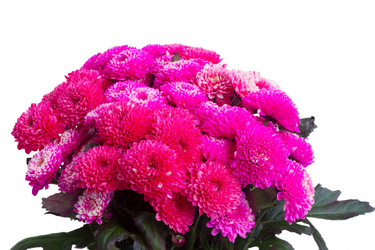 Similar image 13281550