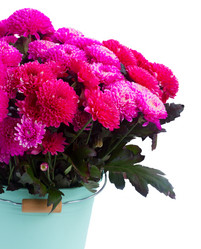 Similar image 13281559