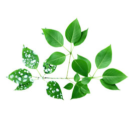 Similar image 13279963