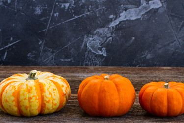 Similar image 13281684