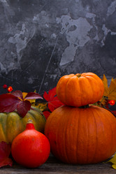 Similar image 13281710