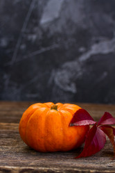 Similar image 13281722