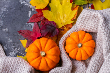 Similar image 13281737