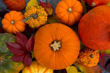 Similar image 13281770