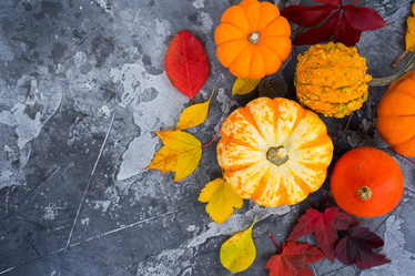 Similar image 13281771