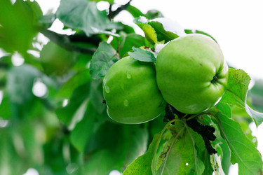 Similar image 13285359