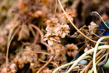 Similar image 13285361