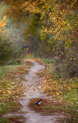 Similar image 13280752