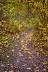 Similar image 13280753