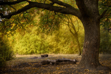 Similar image 13280754