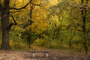 Similar image 13280756