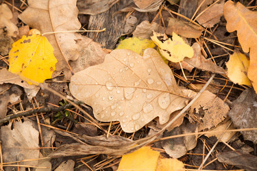 Similar image 13280757