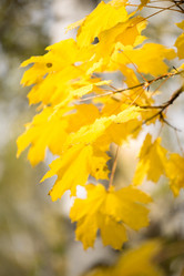 Similar image 13280770