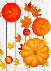 Similar image 13280150