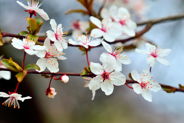 Similar image 13279868