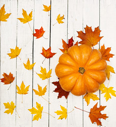 Similar image 13280187