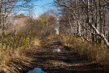 Similar image 13283396