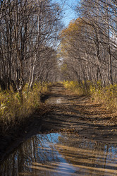 Similar image 13283377