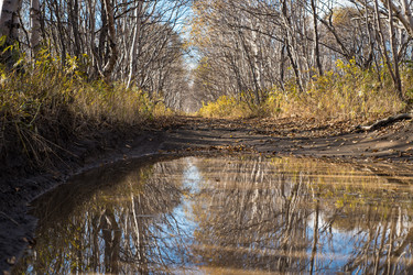 Similar image 13283378