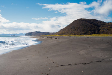 Similar image 13283383