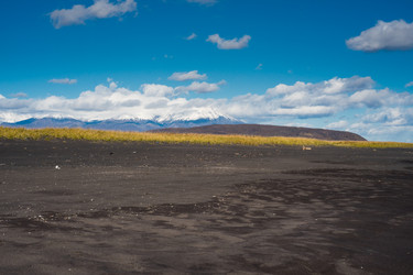 Similar image 13283401