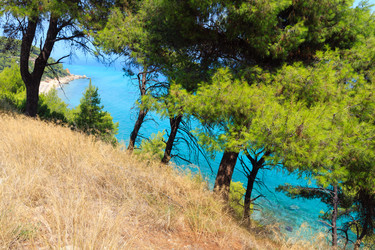 Similar image 13282647