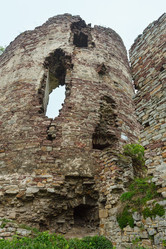 Similar image 13282018