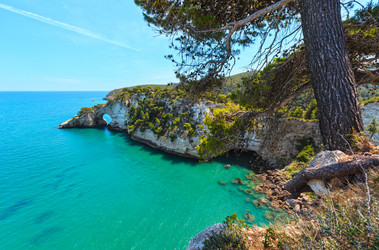 Similar image 13282130