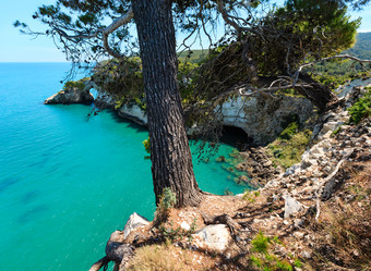 Similar image 13282132