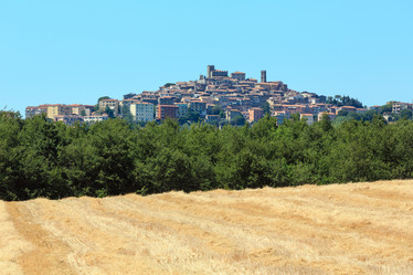 Similar image 13282062