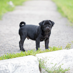 Similar image 13283055