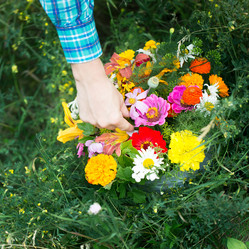 Similar image 13283070