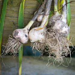 Similar image 13283073