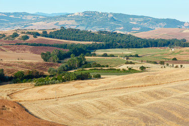 Similar image 13282151