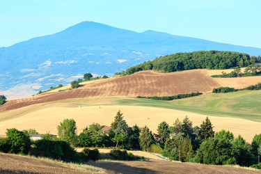 Similar image 13282157