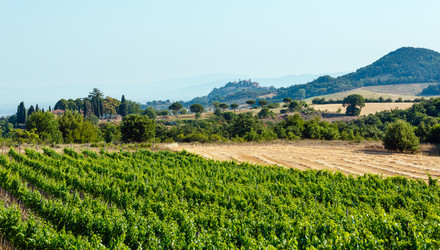 Similar image 13282548