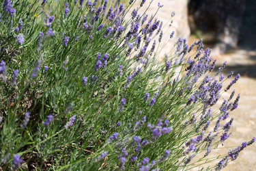 Similar image 13283098