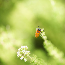 Similar image 13283101