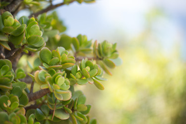 Similar image 13283104