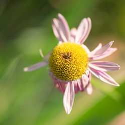 Similar image 13283121